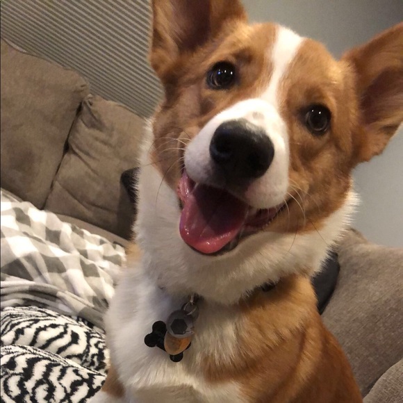 Meet the staff & the Poshing Peach ๐ค๐ - Picture 2 of 8